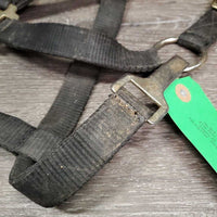 Nylon Breakaway Halter, leather crown *gc, dirt, faded, stained, broken crown