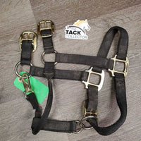 Thick Soft Nylon Halter, adj, snap *NO Crown, gc, dirty, faded, stained, rubs, frayed edges
