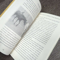 Horses Don't Lie by Chris Irwin *paperback
