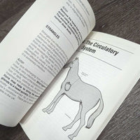 What's Wrong With My Horse? by Colin J. Vogel *gc, mnr bent corners & stains, scratches
