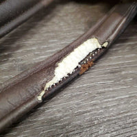 Padded Leather & Elastic 5 Point Breastplate, Running Attach *vgc, mouse chews, clean & mnr dirt, xholes
