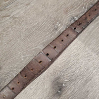 1 Only Stirrup Leather *gc, clean, rubs, scraped, xholes, dry
