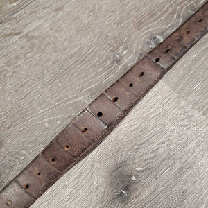 1 Only Stirrup Leather *gc, clean, rubs, scraped, xholes, dry
