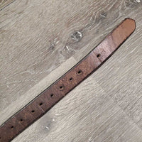 1 Only Stirrup Leather *gc, clean, rubs, scraped, xholes, dry
