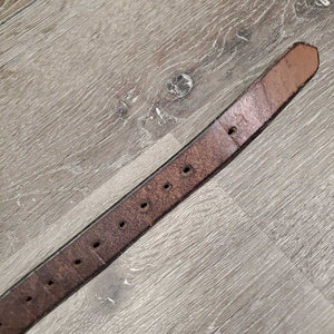 1 Only Stirrup Leather *gc, clean, rubs, scraped, xholes, dry