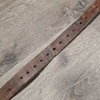 1 Only Stirrup Leather *gc, clean, rubs, scraped, xholes, dry
