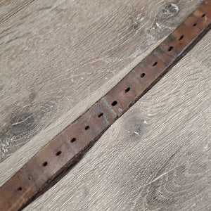 1 Only Stirrup Leather *gc, clean, rubs, scraped, xholes, dry
