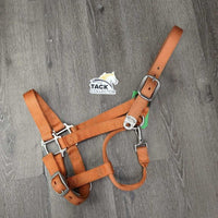 Hyv Nylon Halter, snap, adj *gc, clean, mnr stains, faded, edge rubs & frays
