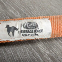 Hyv Nylon Halter, snap, adj *gc, clean, mnr stains, faded, edge rubs & frays
