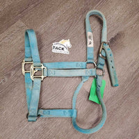 Nylon Halter *gc, clean, stains, faded, mnr frays/snags
