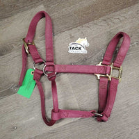 Nylon Halter *gc, faded, mnr frays, dirt, stains, scuffs
