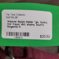 Nylon Halter *gc, faded, mnr frays, dirt, stains, scuffs
