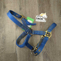 Thick Hvy Nylon Halter, adj *gc, faded, stains, mnr rust, v.dirty, older, edge rubs & frays
