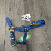 Thick Hvy Nylon Halter, adj *gc, faded, stains, mnr rust, v.dirty, older, edge rubs & frays
