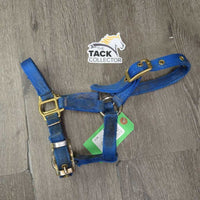 Thick Hvy Nylon Halter, adj *gc, faded, stains, mnr rust, v.dirty, older, edge rubs & frays