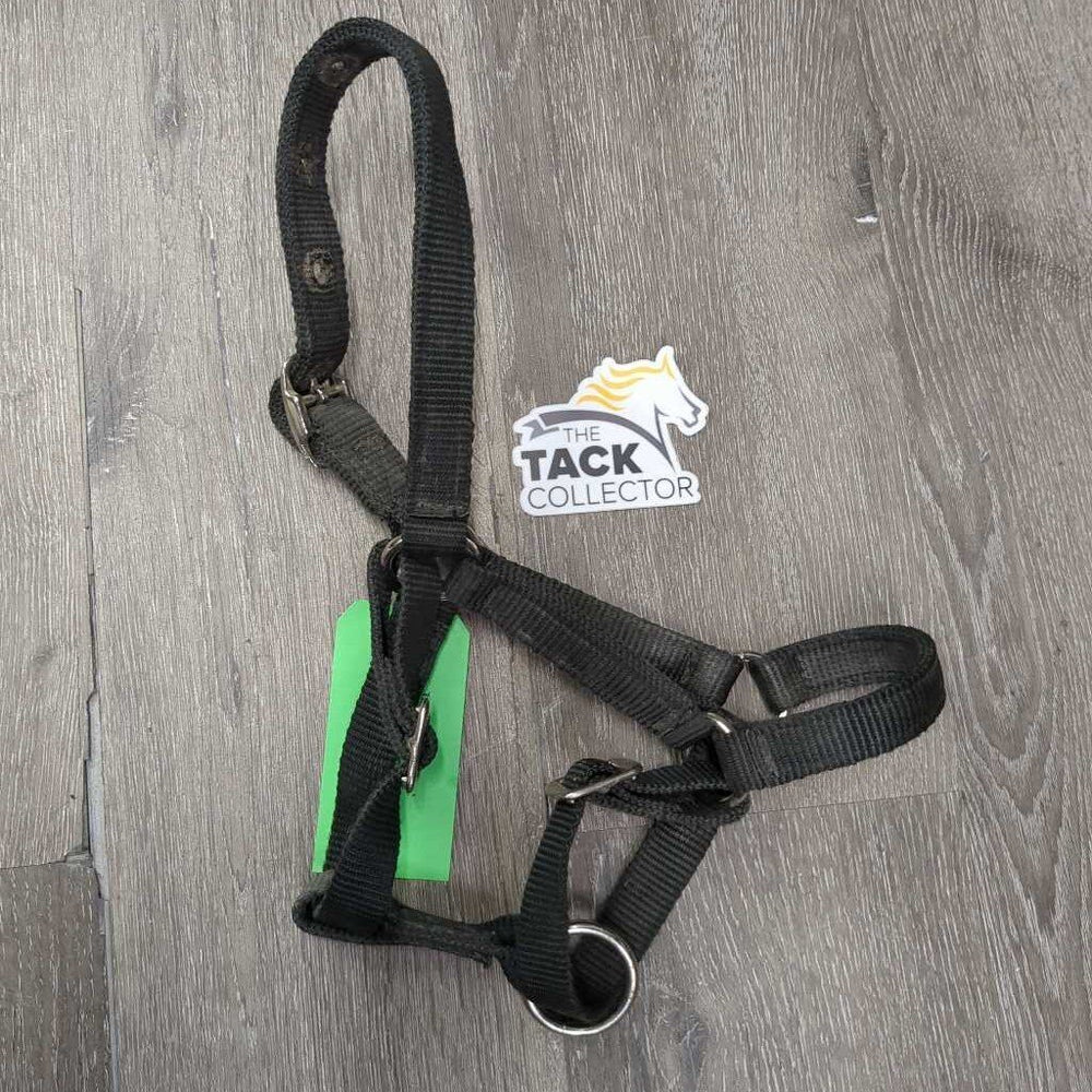 Thick Nylon Halter, adj *gc, faded, stains, dirt, edge rubs, older