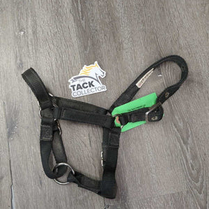 Thick Nylon Halter, adj *gc, faded, stains, dirt, edge rubs, older