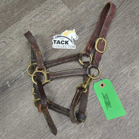 Thin Narrow Leather Halter, adj, snap *gc/fair, scrapes, rubs, chipped edges, replaced keeper & crown piece, older, v.stiff/bent
