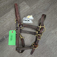 Thin Narrow Leather Halter, adj, snap *gc/fair, scrapes, rubs, chipped edges, replaced keeper & crown piece, older, v.stiff/bent
