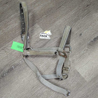 Padded Nylon Halter, adj, snap *fair, BROKEN Snap, v.faded, cracking, discolroed, rusty, stains
