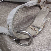 Padded Nylon Halter, adj, snap *fair, BROKEN Snap, v.faded, cracking, discolroed, rusty, stains
