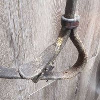 Thick Padded Leather Crank Noseband, Flash *gc, dirt, creases, stain, tight keepers, dry, stiff
