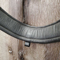 Padded Dressage Bridle, Wide Crank *like new, NO Browband, NO Flash, clean