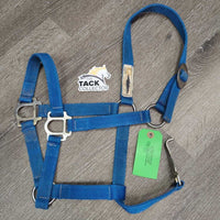 Nylon Halter, snap *gc, clean, older, stains, BROKEN snap, faded, rubs
