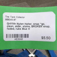 Nylon Halter, snap *gc, clean, older, stains, BROKEN snap, faded, rubs
