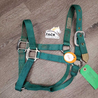 Thick Nylon Halter *gc, clean, mnr dirt, faded, stains, mnr frays, snags
