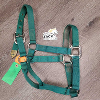 Thick Nylon Halter *gc, clean, mnr dirt, faded, stains, mnr frays, snags
