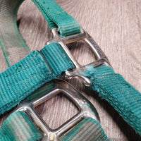 Thick Nylon Halter *gc, clean, mnr dirt, faded, stains, mnr frays, snags

