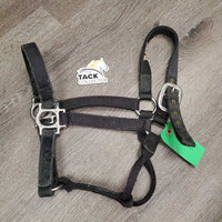 Thick Nylon Halter *gc/fair, clean, stiff, faded, snags, mnr frays, threads
