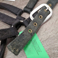 Thick Nylon Halter *gc/fair, clean, stiff, faded, snags, mnr frays, threads
