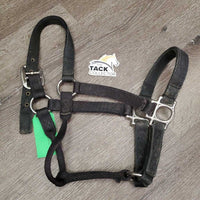 Thick Nylon Halter *gc/fair, clean, stiff, faded, snags, mnr frays, threads
