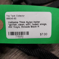 Thick Nylon Halter *gc/fair, clean, stiff, faded, snags, mnr frays, threads
