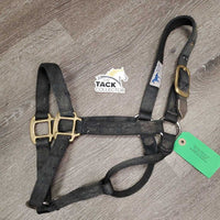 Thick Nylon Halter *gc/fair, older, faded, stiff, nose separation, missing eyelets, snags, dirt , mnr hair
