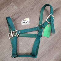 Thick Nylon Halter, adj, snap *gc, clean, stains, frayed holes, faded
