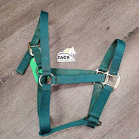 Thick Nylon Halter, adj, snap *gc, clean, stains, frayed holes, faded
