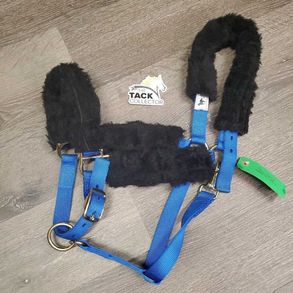 Nylon Halter, adj, 4 fleeces (crown, cheeks, nose) *xc, clean, mnr hair