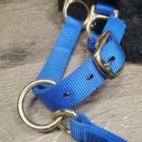 Nylon Halter, adj, 4 fleeces (crown, cheeks, nose) *xc, clean, mnr hair
