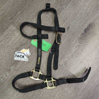 Thick Nylon Halter - Bridle, adj, Browband *NO Cheeks, NO Throat, older, clean, mnr rubs & frays

