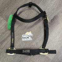 Thick Nylon Halter - Bridle, adj, Browband *NO Cheeks, NO Throat, older, clean, mnr rubs & frays
