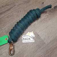 Nylon Lead Rope, spring snap *gc, clean, rusty, snags, rubs, mnr hair, faded?
