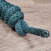 Nylon Lead Rope, spring snap *gc, clean, rusty, snags, rubs, mnr hair, faded?
