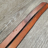 Leather Split Reins, Chicago screws *vgc/gc, clean, stains, rubs, paint?, stiff, dry, dent/bent
