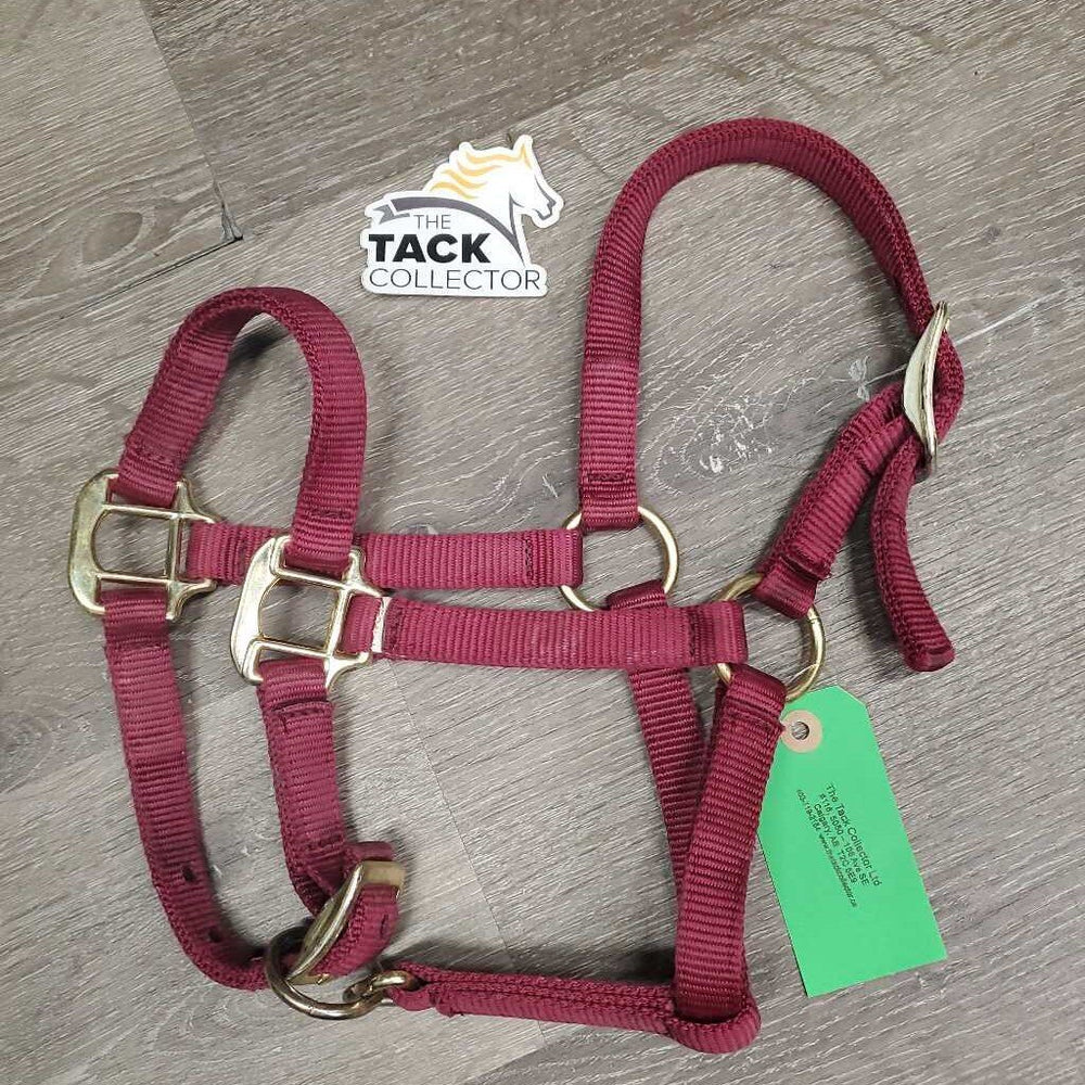 Narrow Nylon Halter, adj *vgc, mnr oxidization, rubs, mnr stuiff, dirt