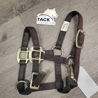 Thick Nylon Halter, adj, snap *vgc, clean, faded & discolored, stains, mnr stretched holes, scraped hardware