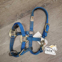 Thick Nylon Halter, adj, snap *gc, v.dirty & stained, faded, rubs, frays
