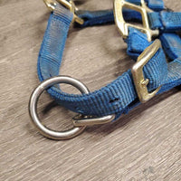 Thick Nylon Halter, adj, snap *gc, v.dirty & stained, faded, rubs, frays